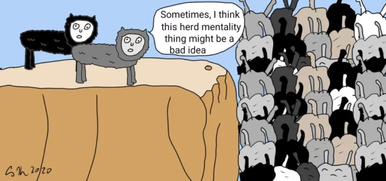 learning sharks stock market institute