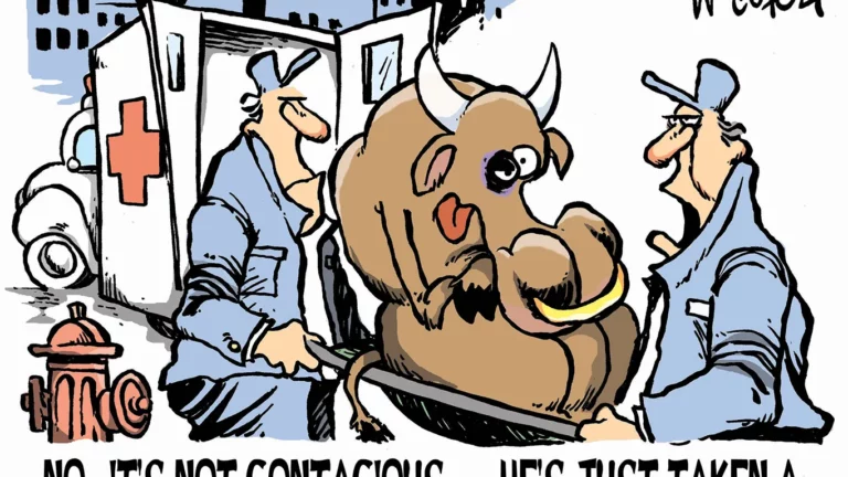 learning sharks stock market institute