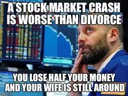 A stock market crash is worse than divorce, you may lose half your money and your wife is still round l Stock Market latest Memes 2022