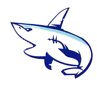 Learning sharks Stock market Institute