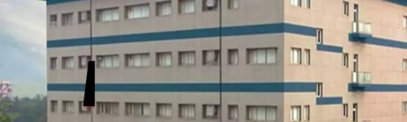 Learning sharks stock market Institute