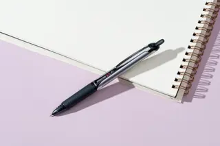 learning sharks