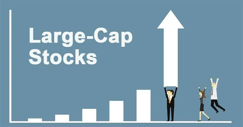 Large-caps are companies with a market capitalisation of Rs 20,000 crore and more