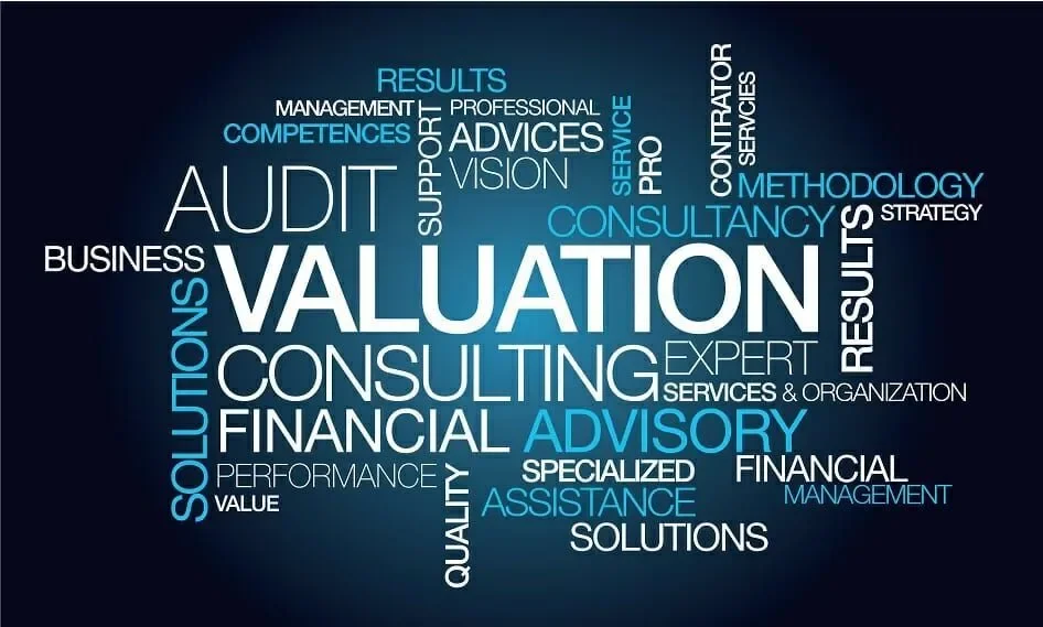 Valuation metrics are financial ratios or indicators used to assess the relative value of a stock or company.
