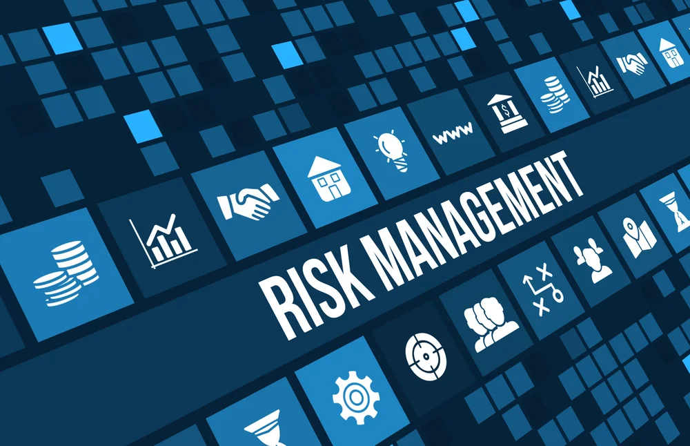 Risk management is the process of identifying, assessing and controlling financial, legal, strategic and security risks to an organization's capital and earnings.
