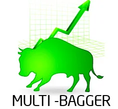 Multibagger stocks are equity shares of a company that generate returns multiple times higher than its associated cost of acquisition.