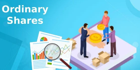  When a company decides to issue shares to raise capital, it can offer two main types of shares: ordinary shares and preferred shares.