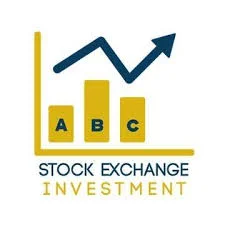 Stock exchanges are centralized platforms where buyers and sellers come together to trade these shares.